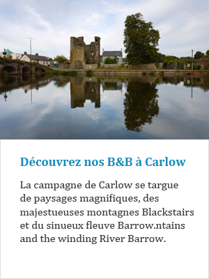 Découvrez nos B&B à Carlow