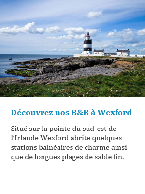 Découvrez nos B&B à Wexford