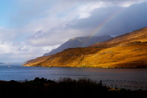 Killary Harbour Galway Wild Atlantic Way